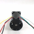 bicicleta elétrica brushless dc motor 24VDC 57BLS04-13